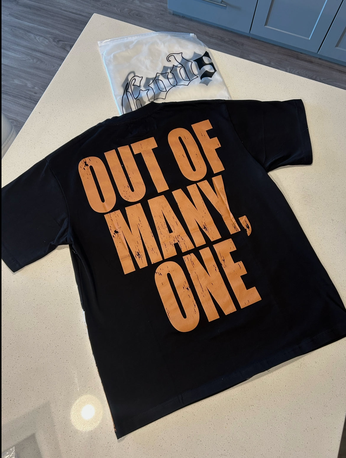 Godspeed “OUT OF MANY, ONE” Graphic T-Shirt
