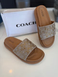 Women Coach 5,6,7