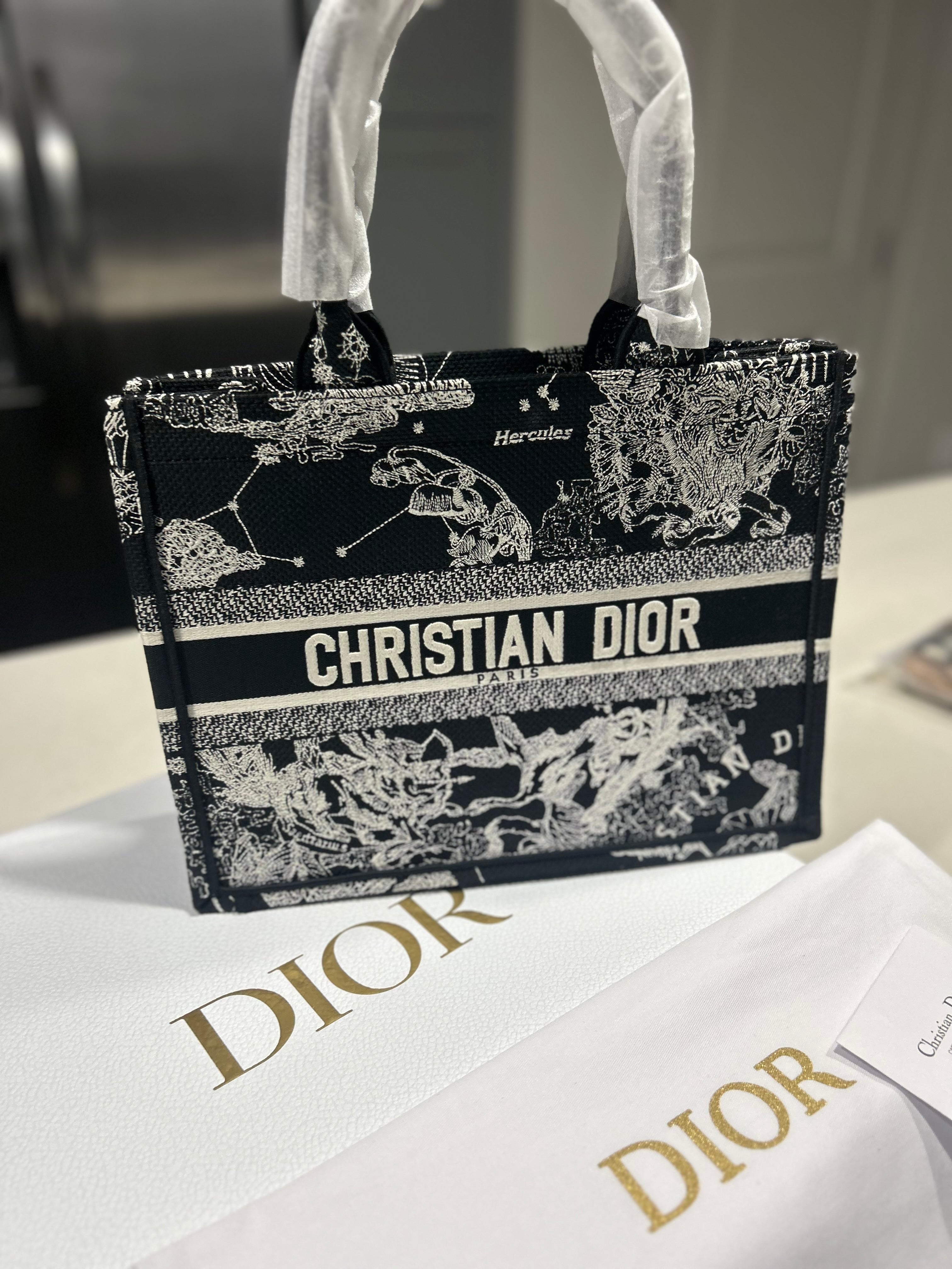 Dior Tote Purse Women’s